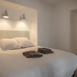 L'orangeraie Design En Plein Centre Castres (Tarn)